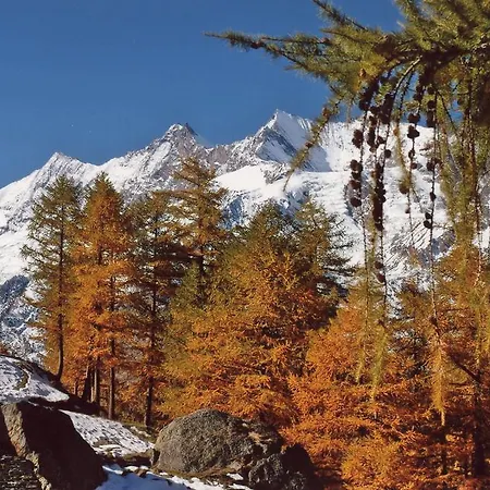 Διαμέρισμα Alpenhof Saas Fee