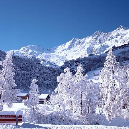 Alpenhof Appartement